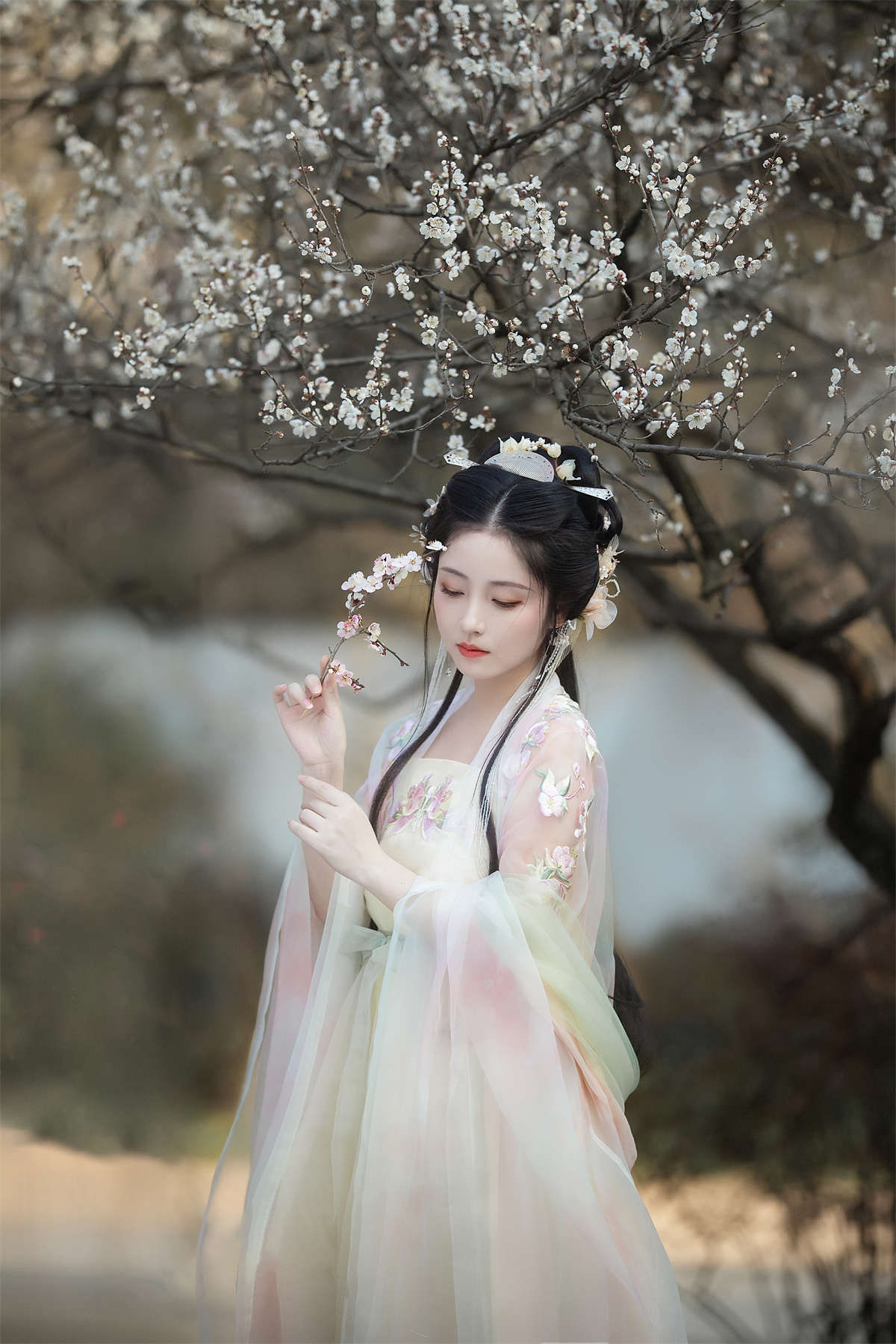 1553 (2).jpg
