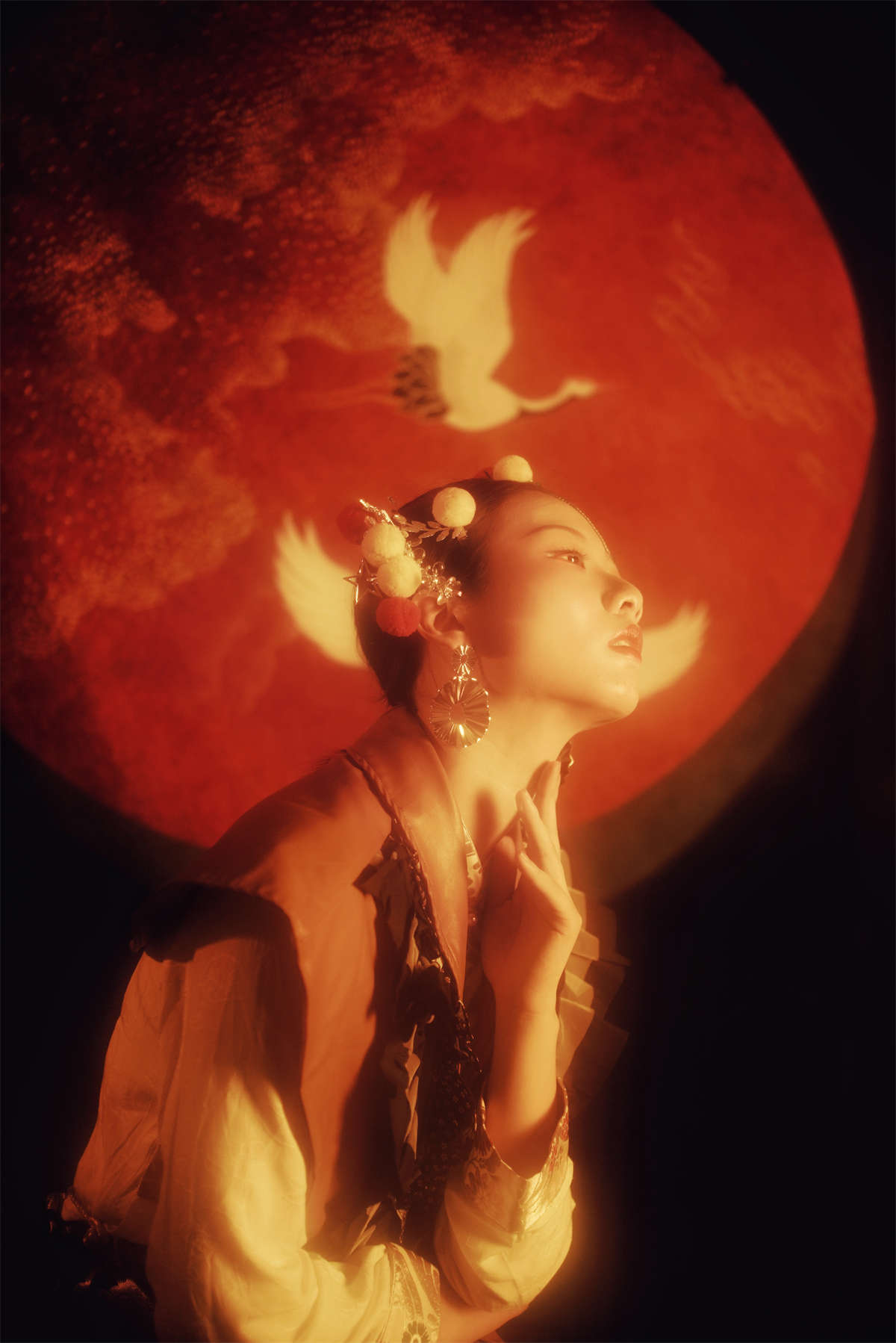 1646 (1).jpg