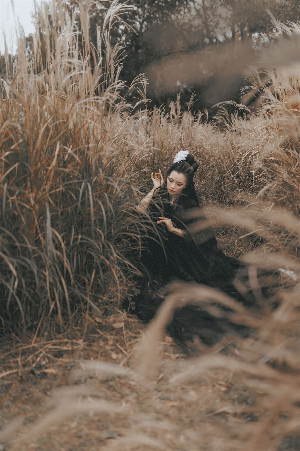 2237 (2).jpg