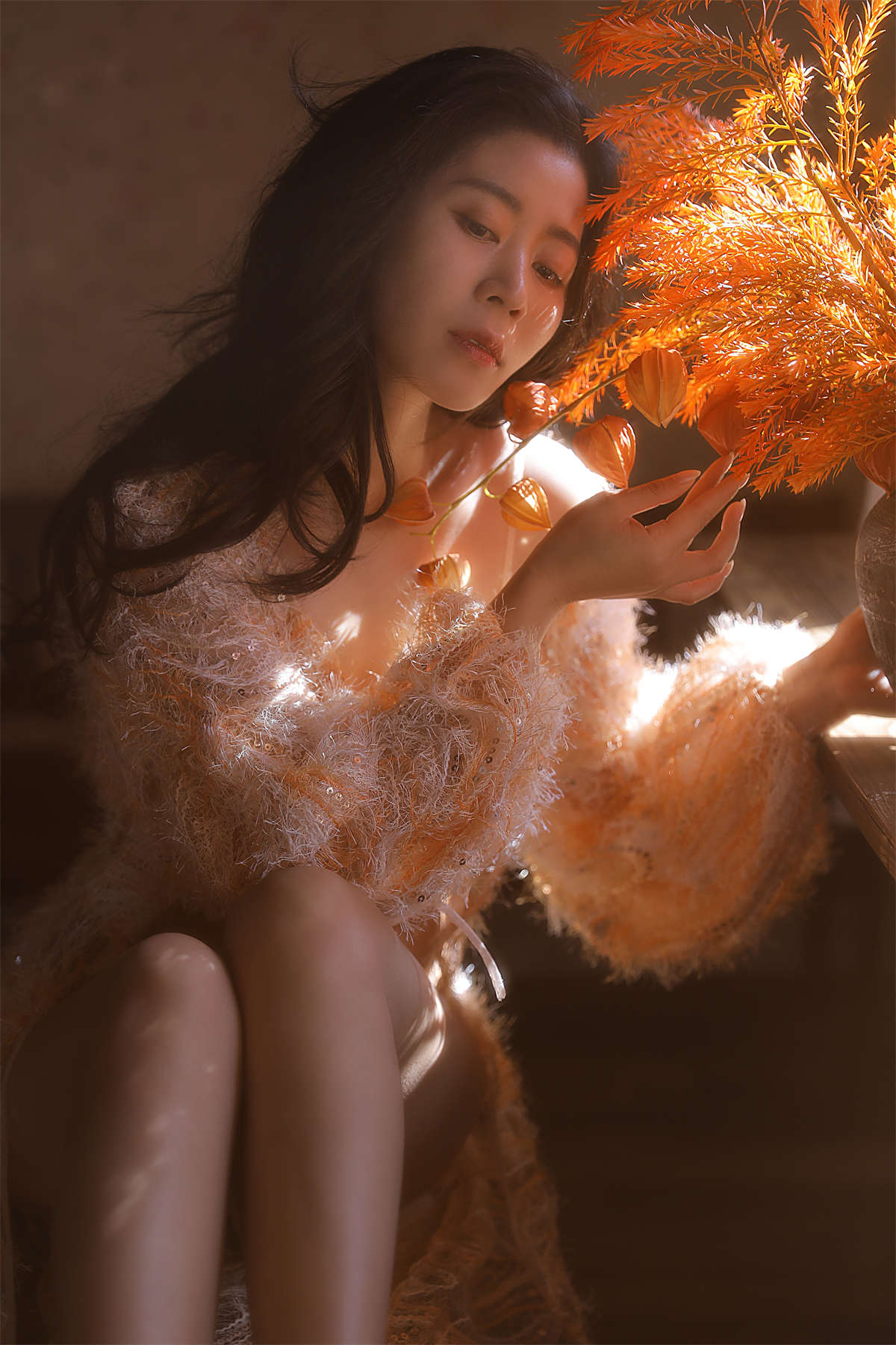 11411 (1).jpg